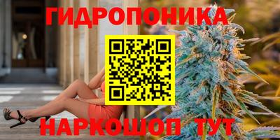 скорость Гусь-Хрустальный