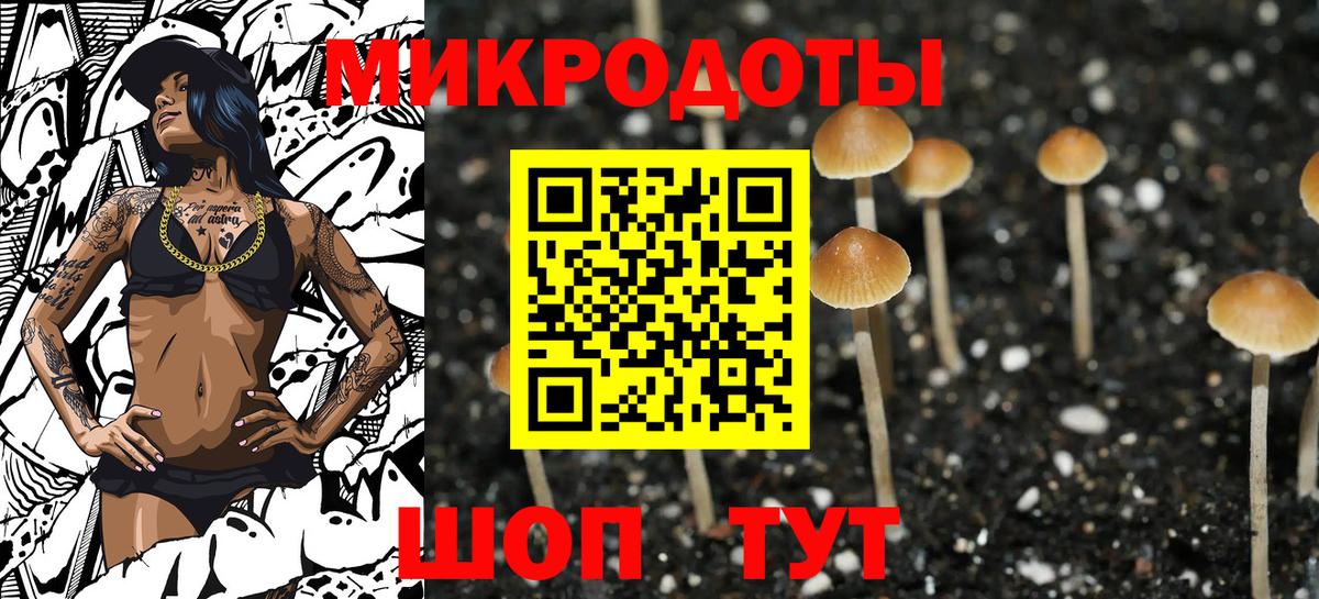 Псилоцибиновые грибы Psilocybe  Галлюциногенные грибы мухоморы  Вход с VPN  Муром 