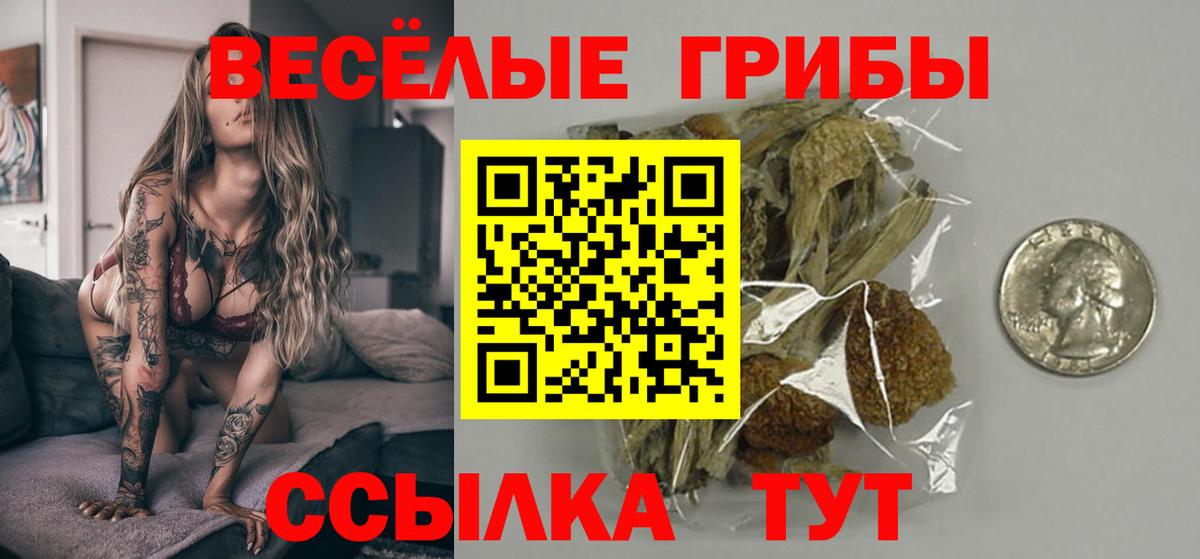 Псилоцибиновые грибы Psilocybine cubensis Муром